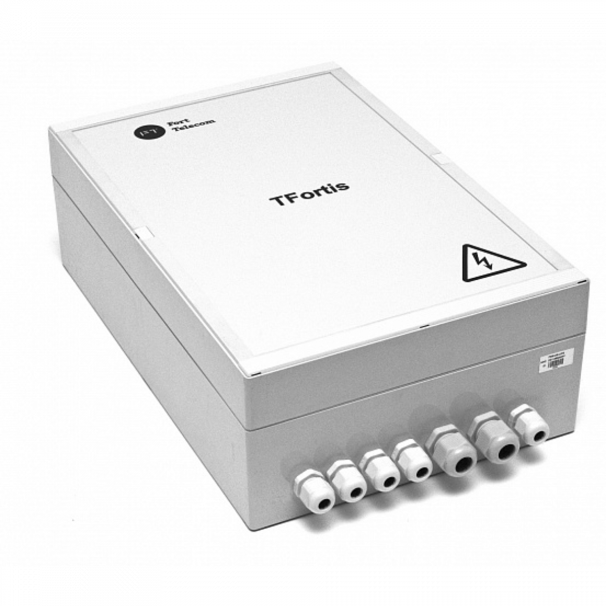 Уличный управляемый PoE коммутатор TFORTIS PSW-2G4F-UPS 4FE PoE +2 GB SFP порта, питание 220В, IP66 c системой бесперебойного питания, 4 АКБ в кмпл